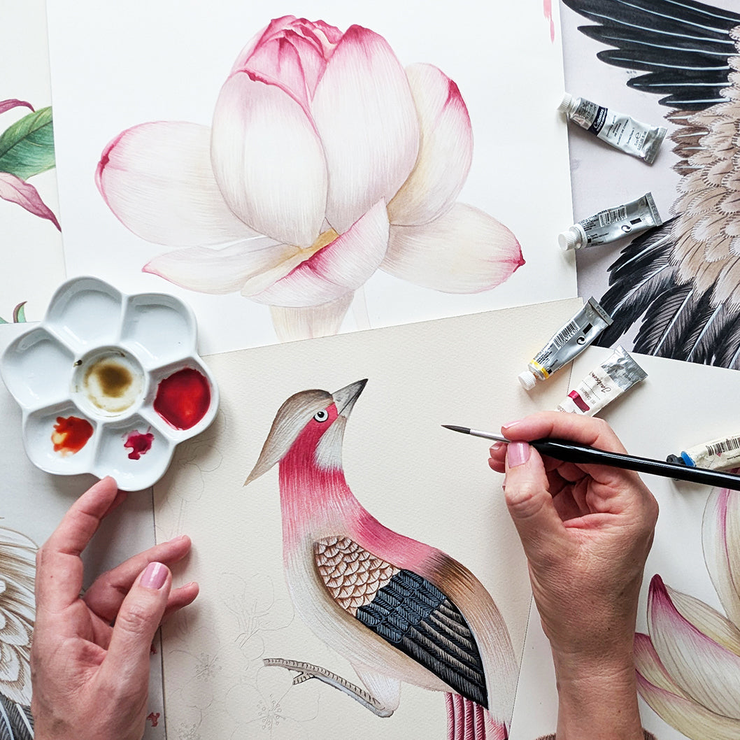 Floral Art or Botanical Art?